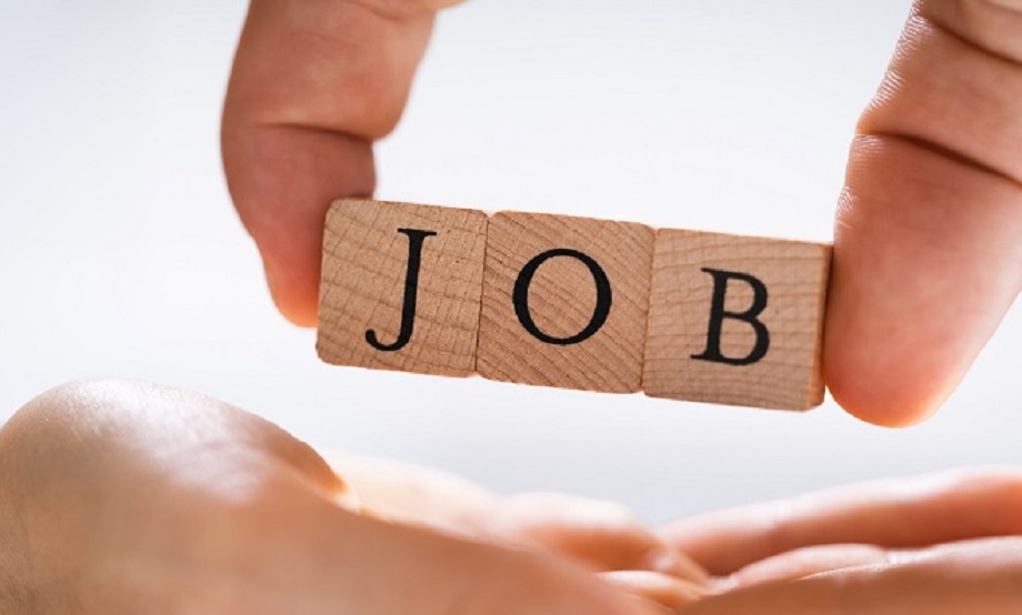 Government Job: Recruitment for 850 posts of Village Development Officer, application process will start from tomorrow