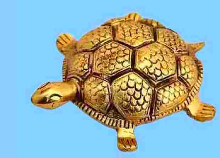 Vastu Tips: Keep a metal tortoise in this direction, you will become rich