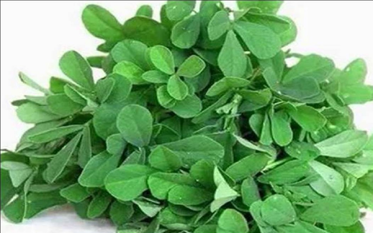 Health Tips: Fenugreek leaves are very beneficial for health, know this