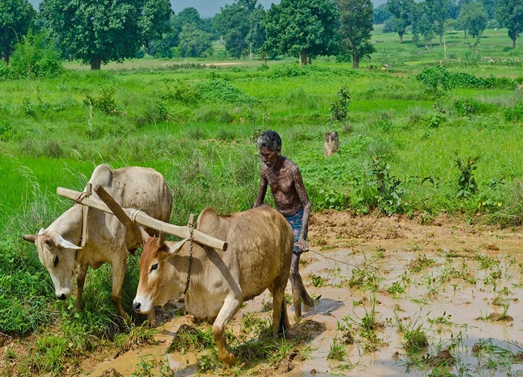 Farmer's Scheme: Not only PM Kisan Yojana, farmers also get benefits in these schemes