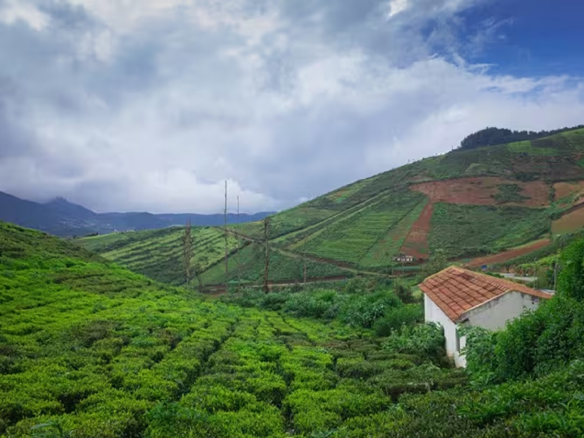 Travel Tips: Coorg is the 'Scotland of India'; you can experience its beauty on a budget of less than ₹5,000.