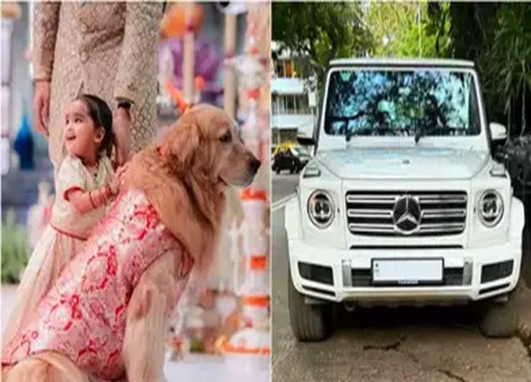 Forget the Ambani family, their dog Happy roams around in a luxurious car worth Rs 4 crores, you will be shocked to know