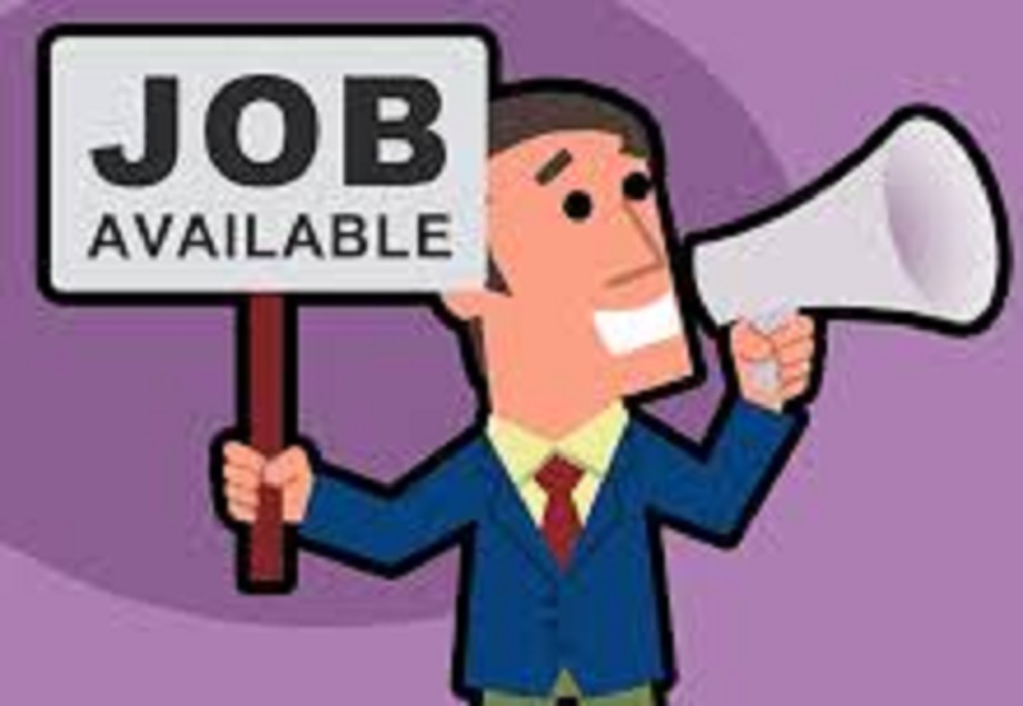 Government job: Recruitment for 18,650 posts of primary teacher, you can apply only till this date