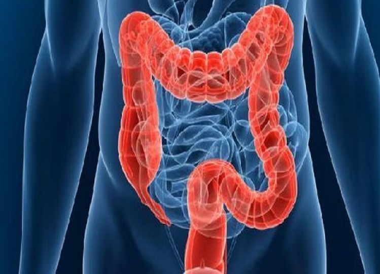 Health Tips: If you have a weak intestine then stop consuming these things today itself, you will become ill.