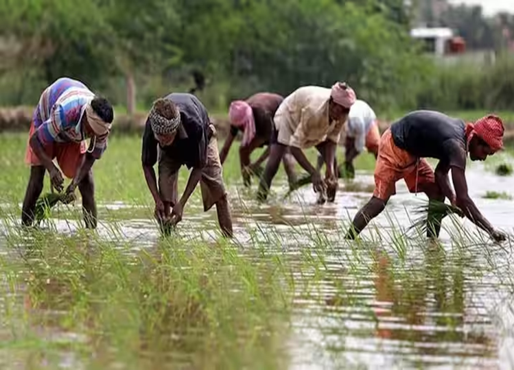 PM Kisan Yojana: Can women farmers also avail the benefits of PM Kisan Yojana, know the answer