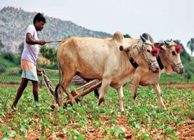 Government scheme: Central government will continue this scheme, farmers will get these benefits