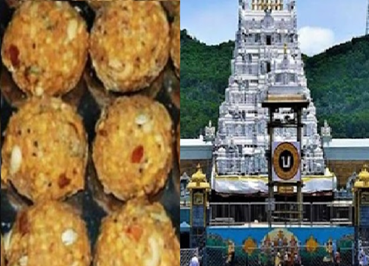 Tirupati Temple: Beef fat and fish oil found in Laddus, now a committee has been formed to check the quality of ghee