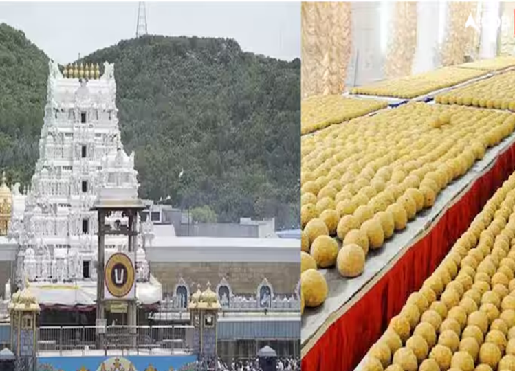 Meat or something else... What is beef tallow? Which was being used in Tirupati Balaji Prasad