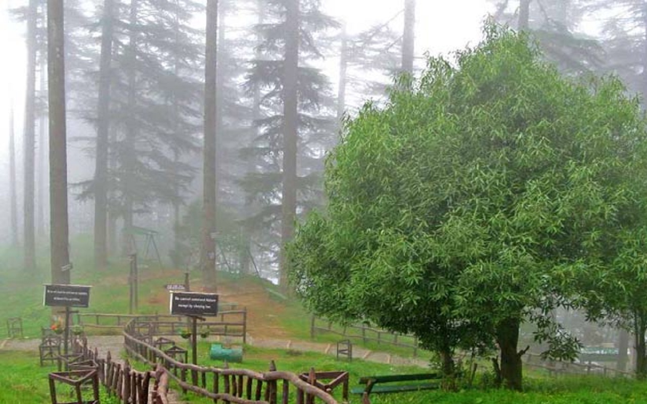Travel Tips: Make the festival of Karva Chauth memorable by visiting Dhanaulti Hill Station, you will be surprised to see the beauty.