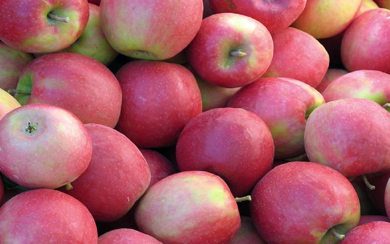 Health Tips: Apple is very beneficial for health in winter season, know this