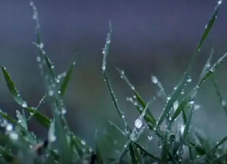 Rajasthan weather update: There may be rain in these many districts of the state today, temperature may drop by four degrees