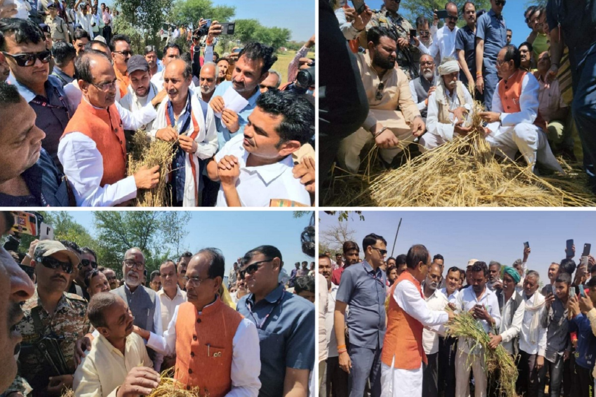 The state government is standing with hailstorm-affected farmers-Shivraj