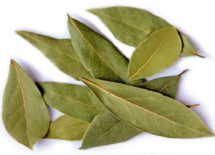 Health Tips: Not only taste, bay leaf is also very useful for your health.