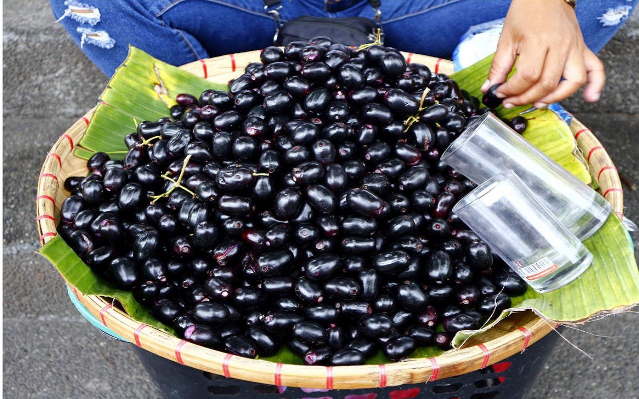 Health Tips: Jamun is as tasty as it is beneficial for health.