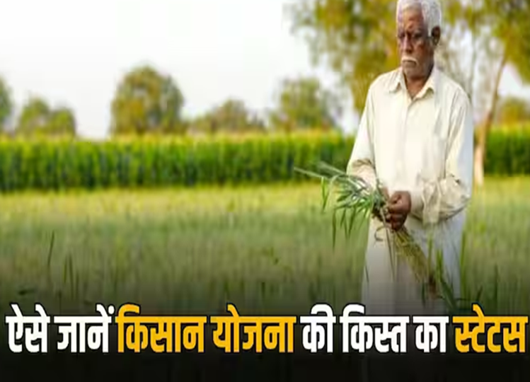 Find out whether the money of Kisan Yojana has reached the account or not, this way