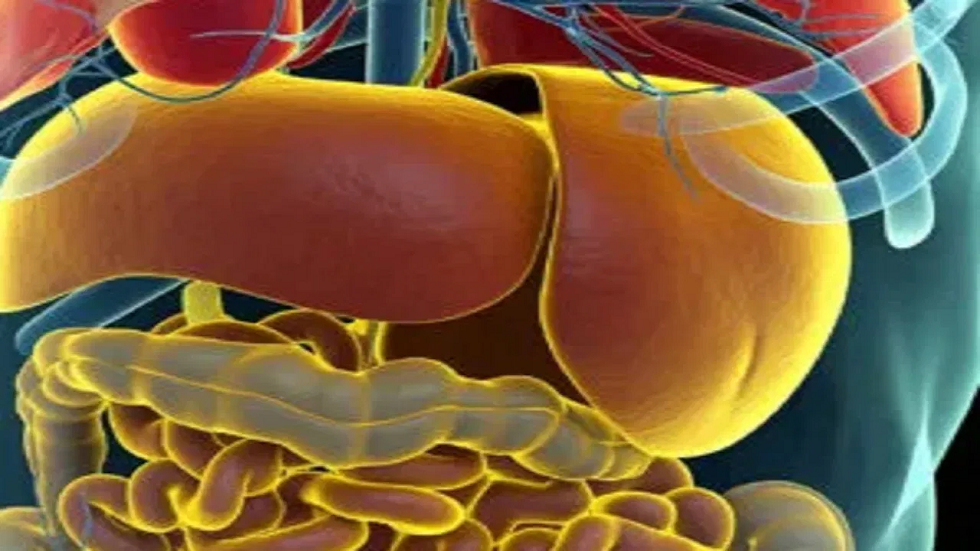 No obesity but still the liver is fatty? Know its hidden causes and preventive measures