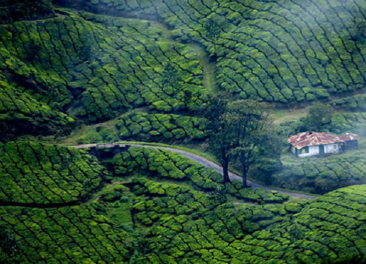 Travel Tips: Must visit this place in Karnataka to visit during monsoon season