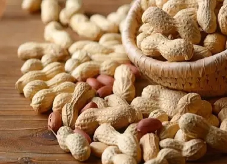 Health Tips: Peanuts are very beneficial for health, you get these amazing benefits