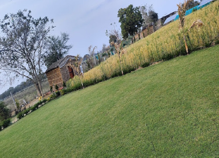Travel Tips: You can choose Trishala Farmhouse in Jaipur for a weekend with family.