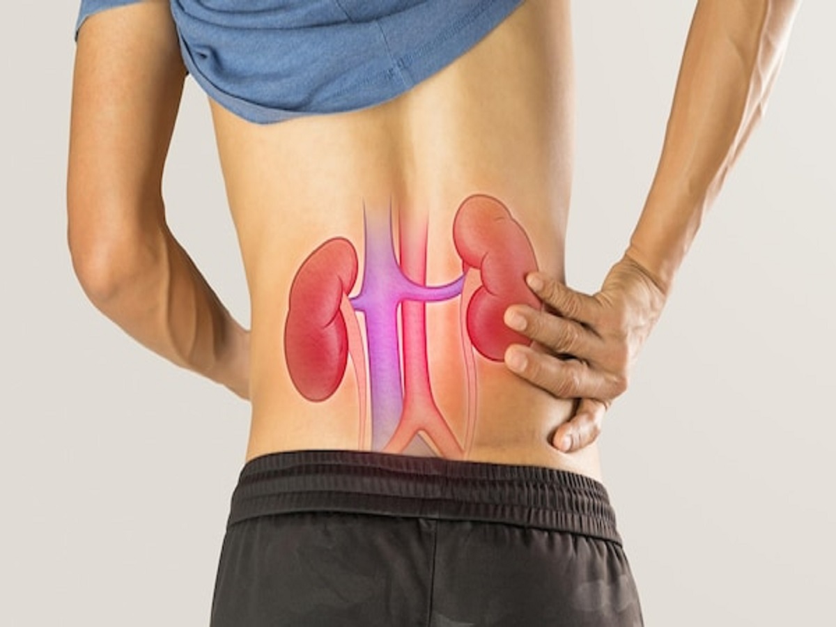 Health Tips: These habits harm your kidneys—give them up immediately