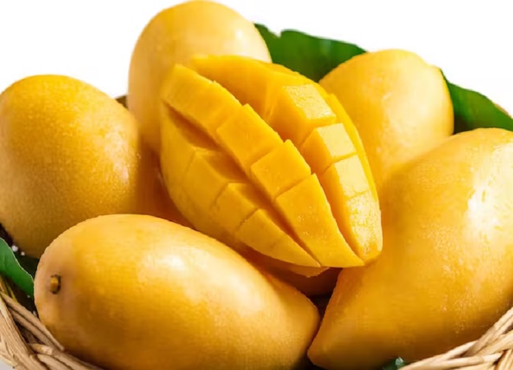 Health Tips: Consuming more mangoes can spoil your health, keep these things in mind