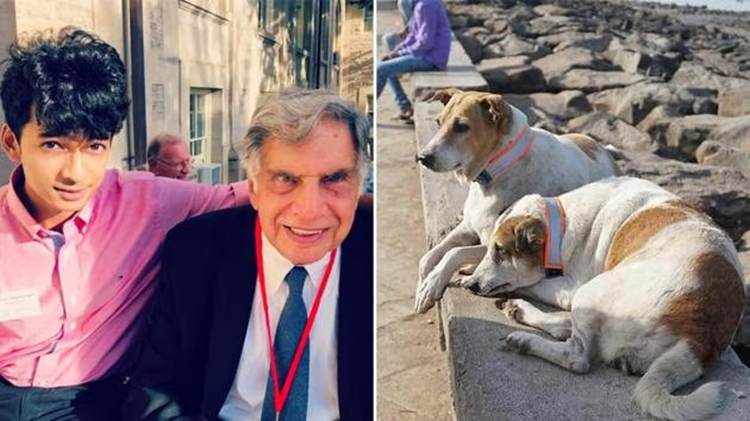 Ratan Tata's final verdict: How his final note is changing pet care in Mumbai