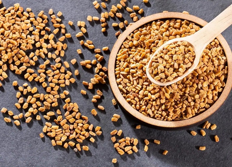 Health Tips: Consumption of fenugreek in winter is no less than a boon, it has amazing benefits.