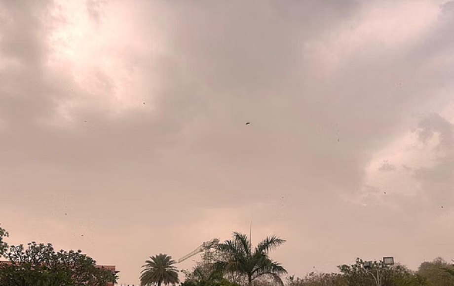 Samachar Jagat