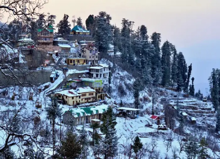 Travel Tips: If you have never been to Shimla, then definitely visit once this winter.