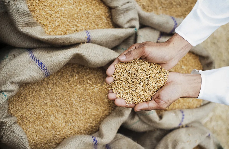 Government scheme: The poor will receive these items along with five kilograms of wheat! The government is preparing
