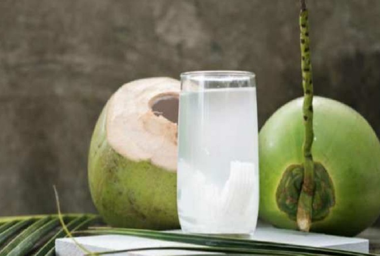 Health Tips :  Blood sugar is controlled by drinking coconut water