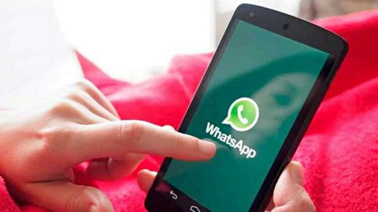 Electricity Bill Pay on WhatsApp: Now you can pay electricity bill through WhatsApp , check process