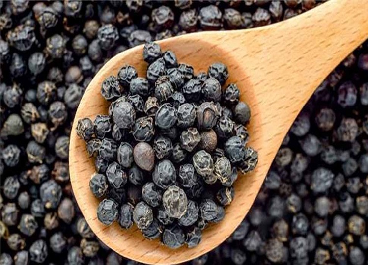 Health Tips: Start consuming black pepper from today itself, you will be happy knowing its benefits