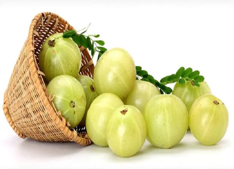 Health Tips: If you also consume Amla, you will get these benefits, it is a panacea for many diseases.