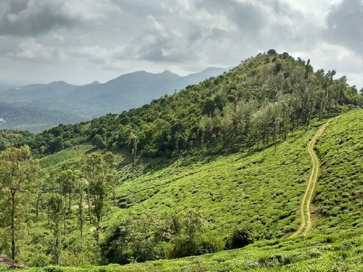 Travel Tips: Wayanad and Varkala are famous for their natural beauty, make a plan to visit