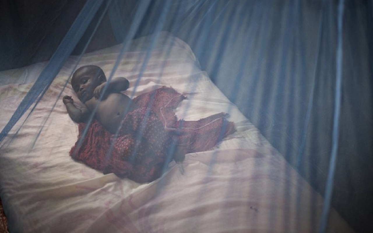 Hope on the horizon for malaria-free Africa