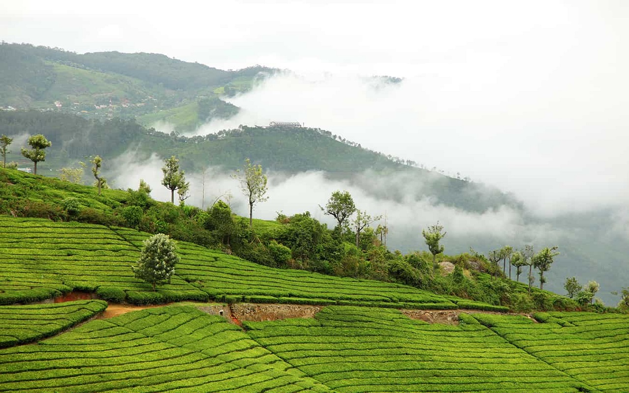 Travel Tips: This time you must visit this hill station of South India