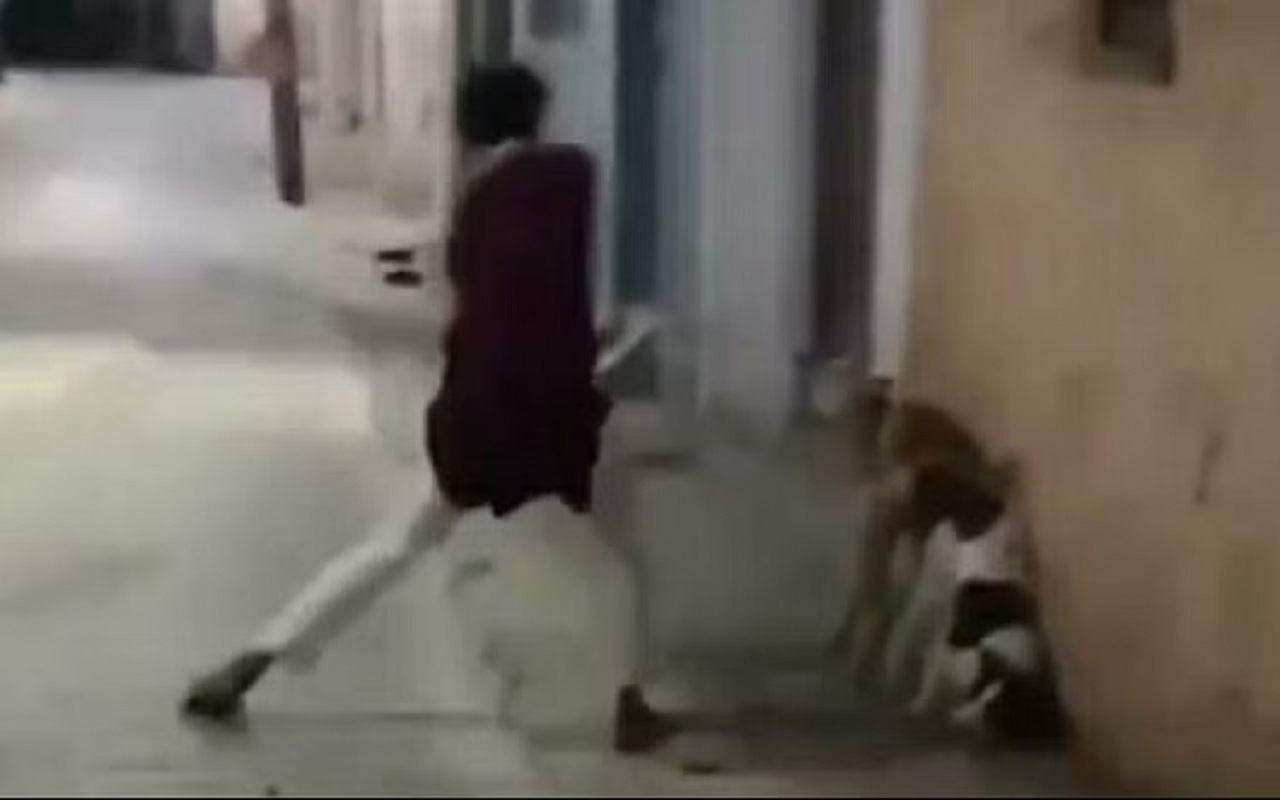 Accused youth arrested after video of dog beating in Shahjahanpur went public