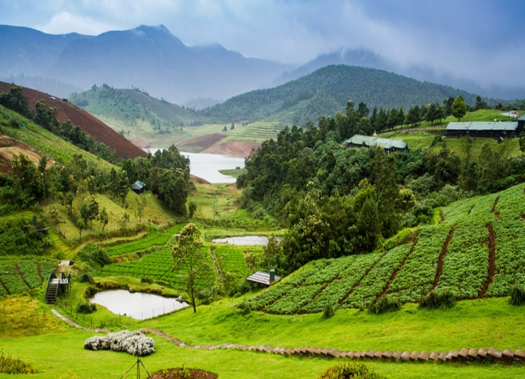 Travel Tips: If you want to plan to visit Ooty, then know which season is best, plan your trip like this