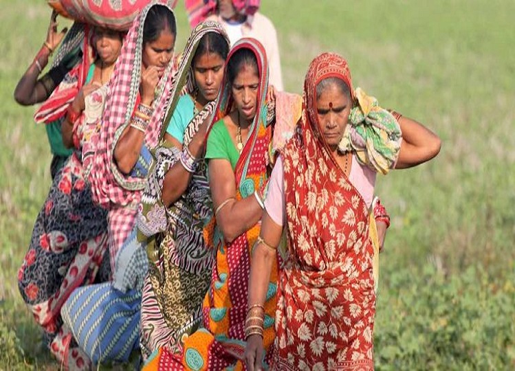 Government scheme: In this scheme, women will get 1000 rupees sitting at home, you can also apply