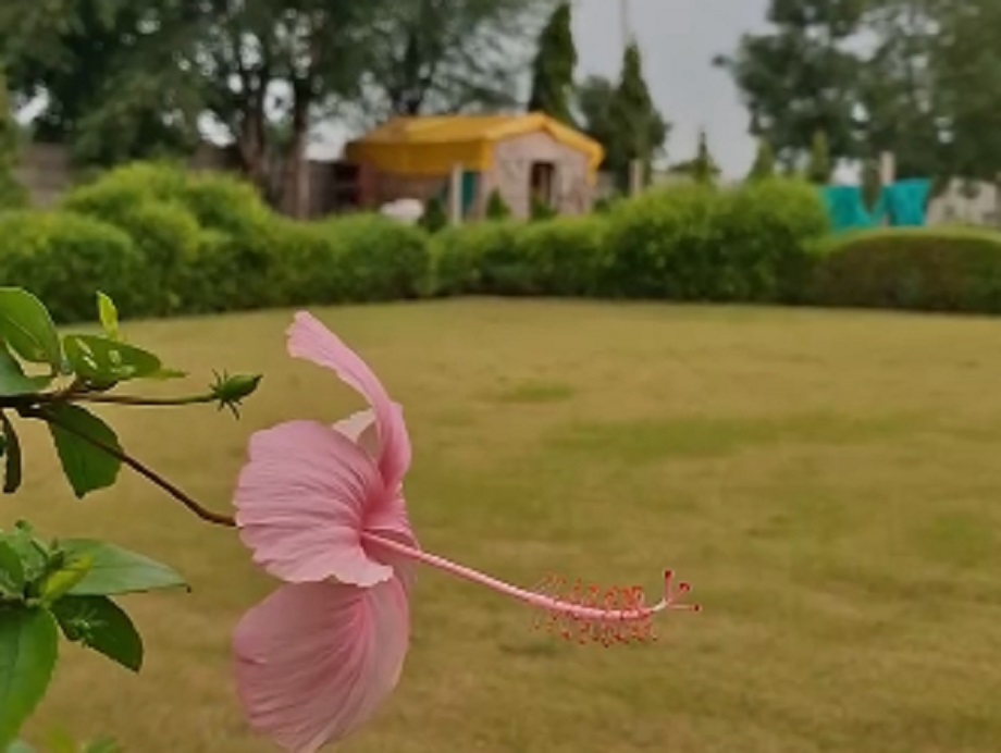 Travel Tips: Make Teej festival memorable at Trishala Farmhouse, you will get many types of facilities