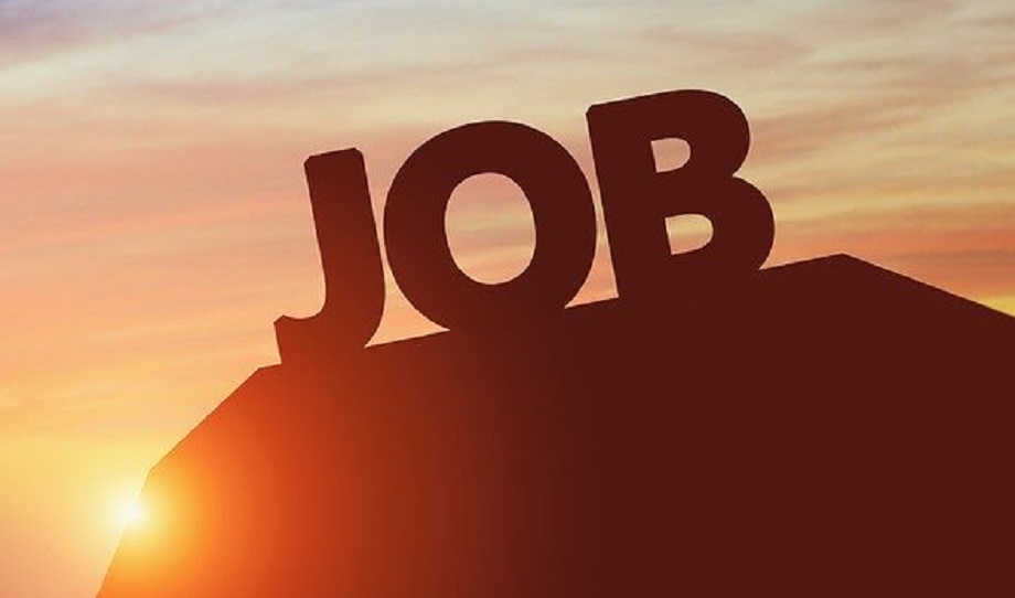 Government Jobs: Recruitment for the posts of Driver and Officer Attendant, this much salary will be given on selection