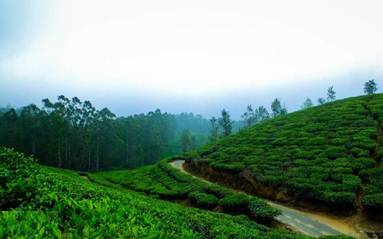 Kerala's Kathakali village Ayerur renamed as Ayerur Kathakali Gramam, famous for its culture