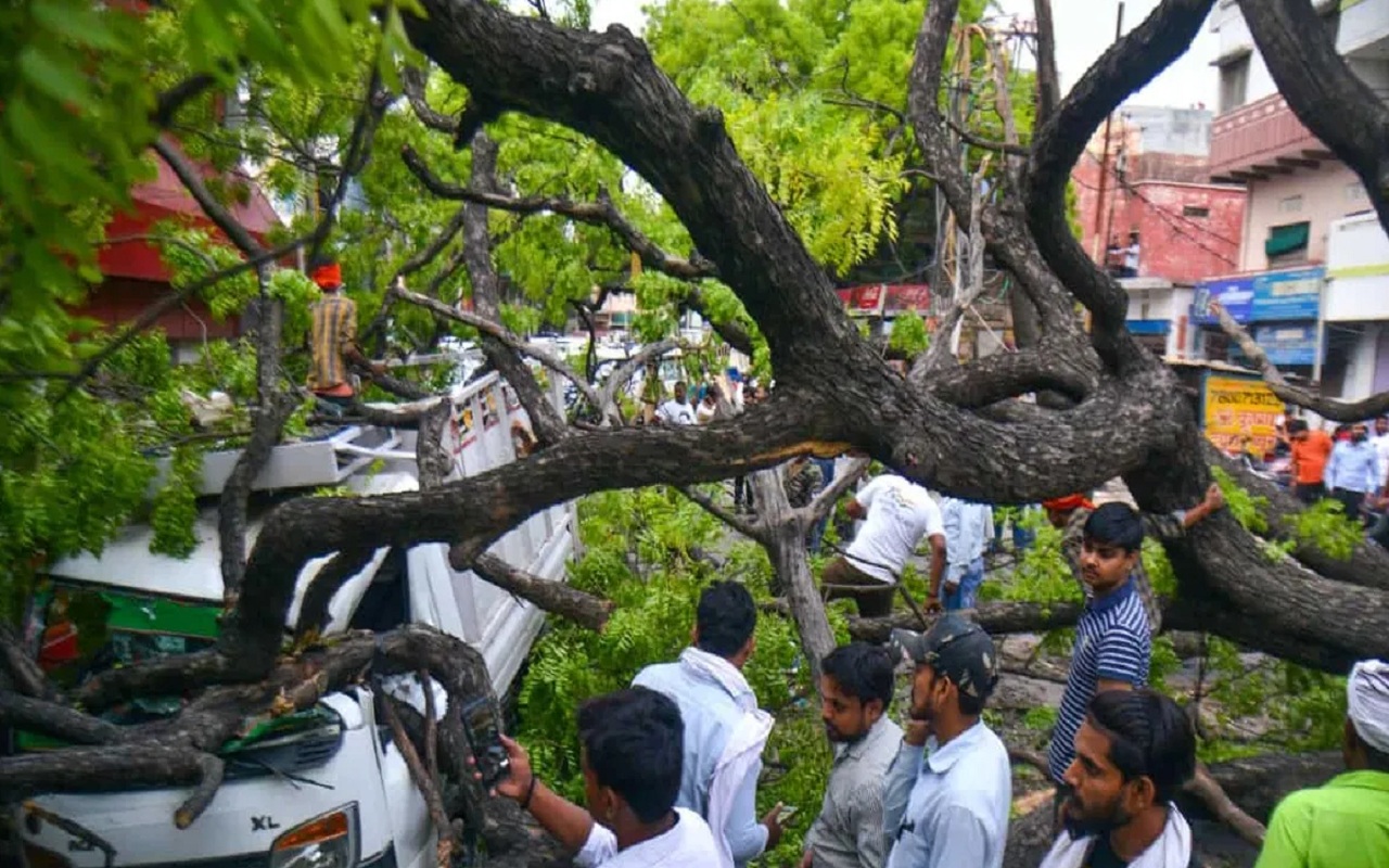 Uttar Pradesh: Trees and electric poles uprooted by strong storm, life affected