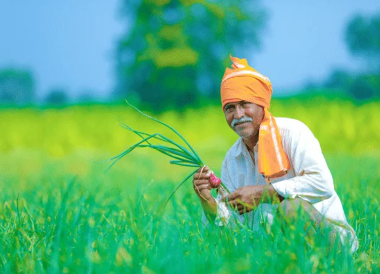 Rajasthan: Farmers got benefit due to a mistake of the bank, know what is the matter