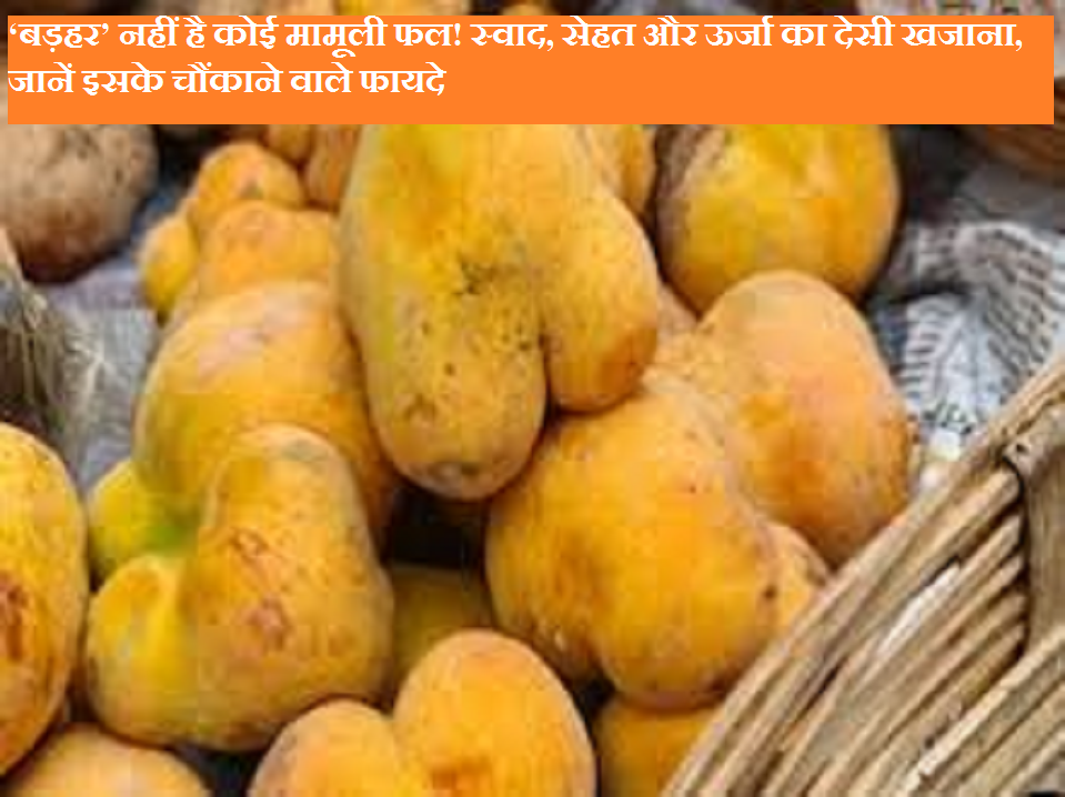 Samachar Jagat