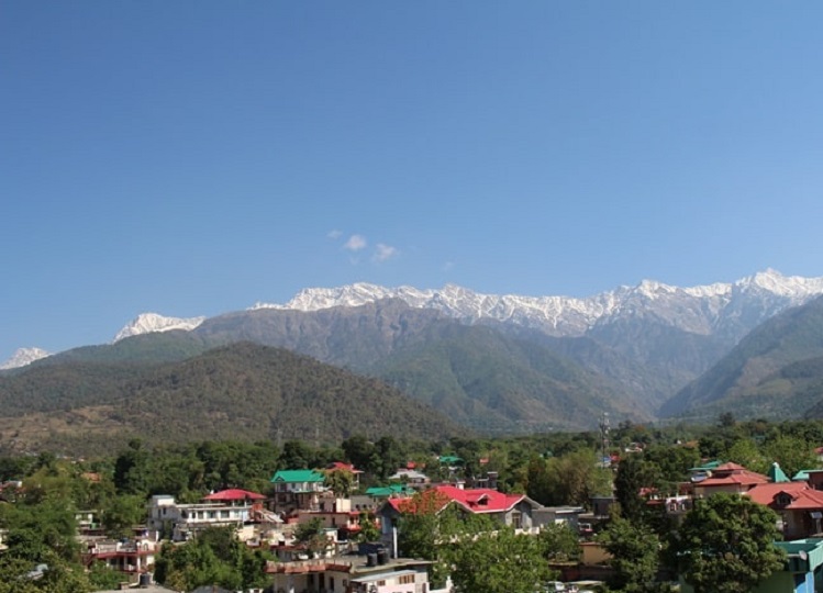 Travel Tips: Visit Palampur to see the beauty of tea gardens.  lifestyle news in hindi
