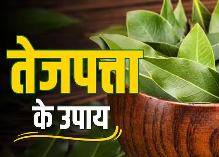 Bay leaf remedies: Bay leaf can fulfill all your wishes, just do this work