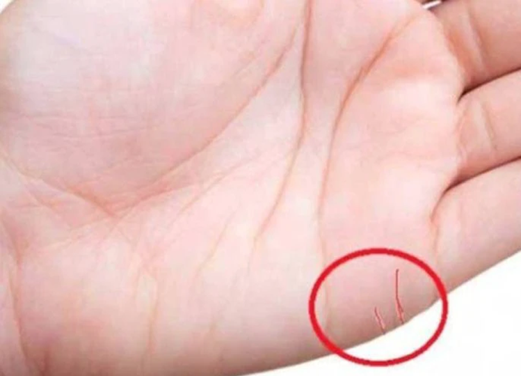 If you also have such a line in your hand then husband and wife cannot stay together, life gets ruined