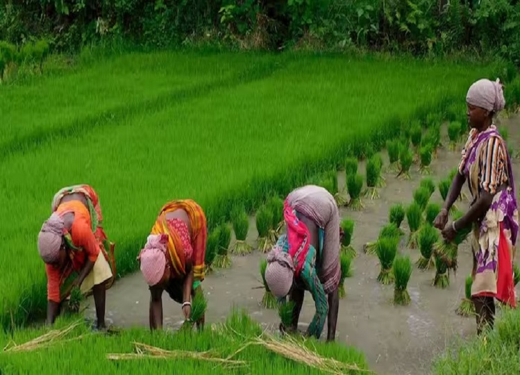 PM Kisan Yojana: These farmers will not get the benefit of 18th installment, it has been decided